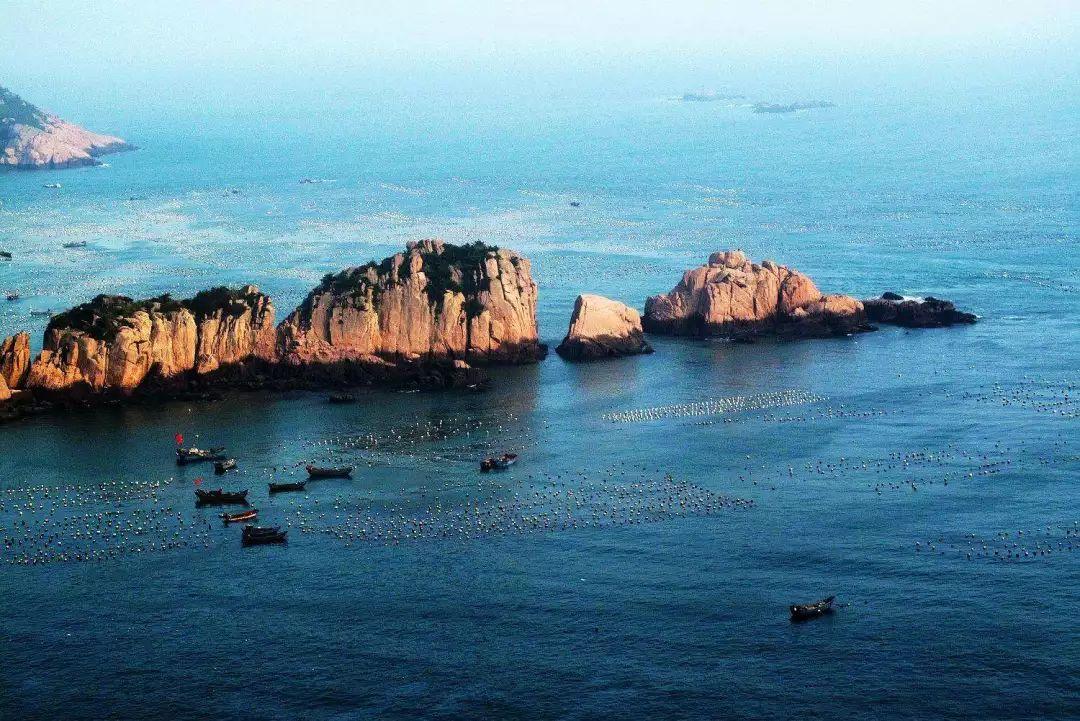 探索冷知识,尽在